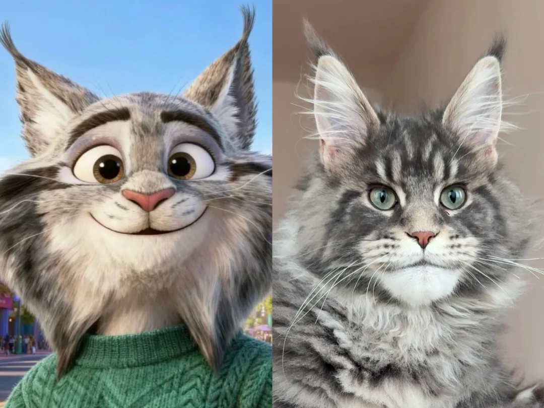 原来他俩是同款猫猫！？🐱