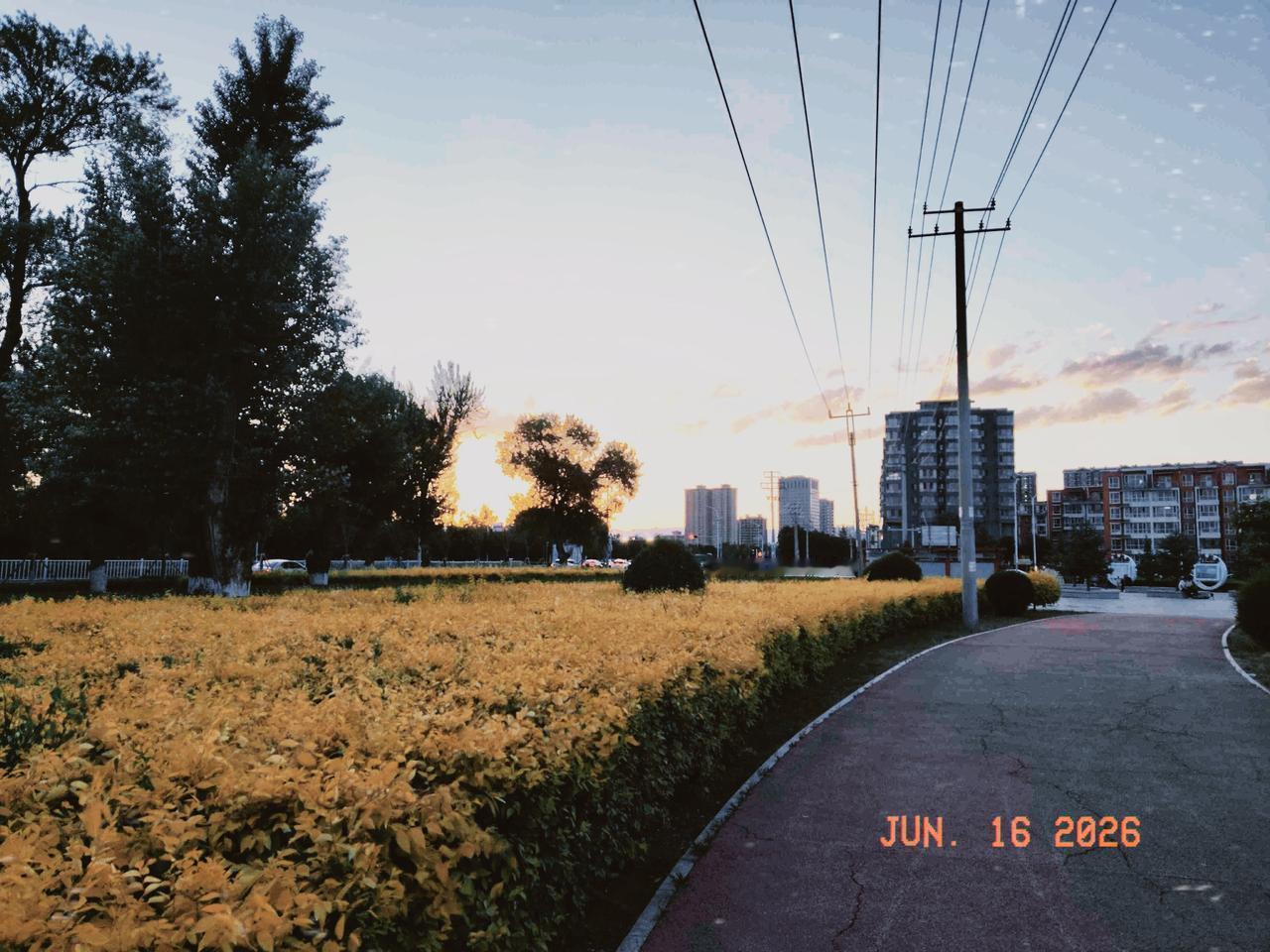 刚从外面回来，楼下的邻居跟着进了家门，我以为他想进来坐坐，原来是他儿子刚考完大学