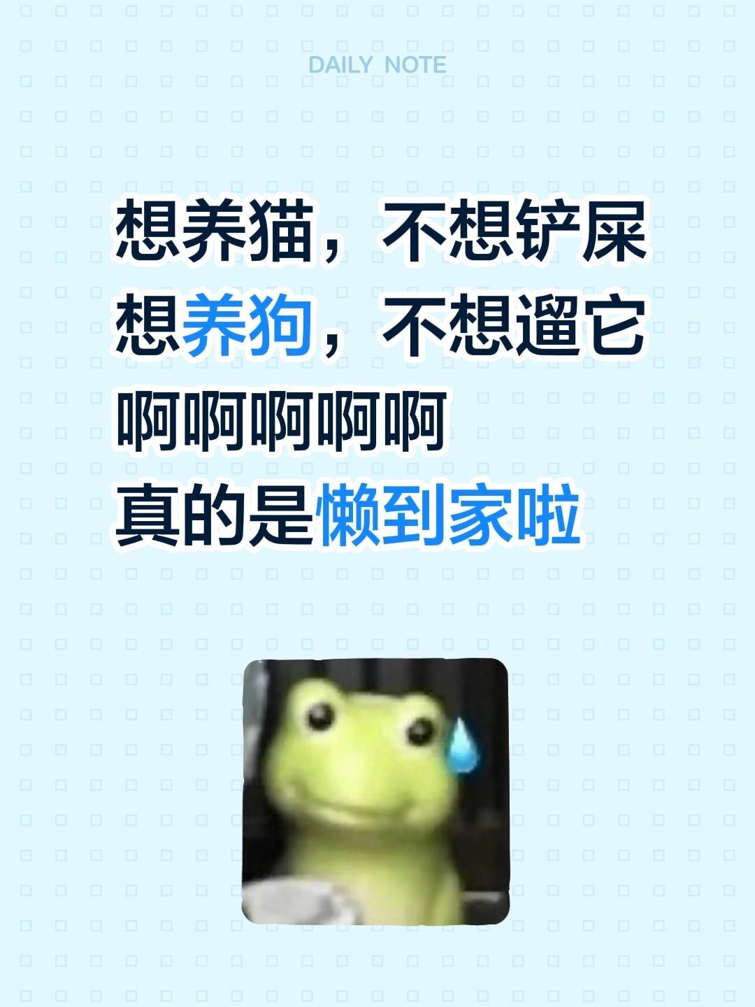 想养猫，不想铲屎想养狗，不想遛它啊啊啊啊啊真的是懒到家啦
