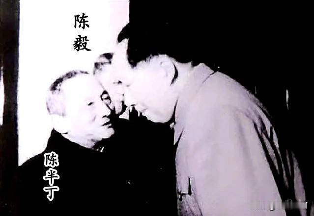 🍁陈半丁说毛主席才是大画家，众人愕然。50年代一次文艺界聚会上，陈毅向毛主席