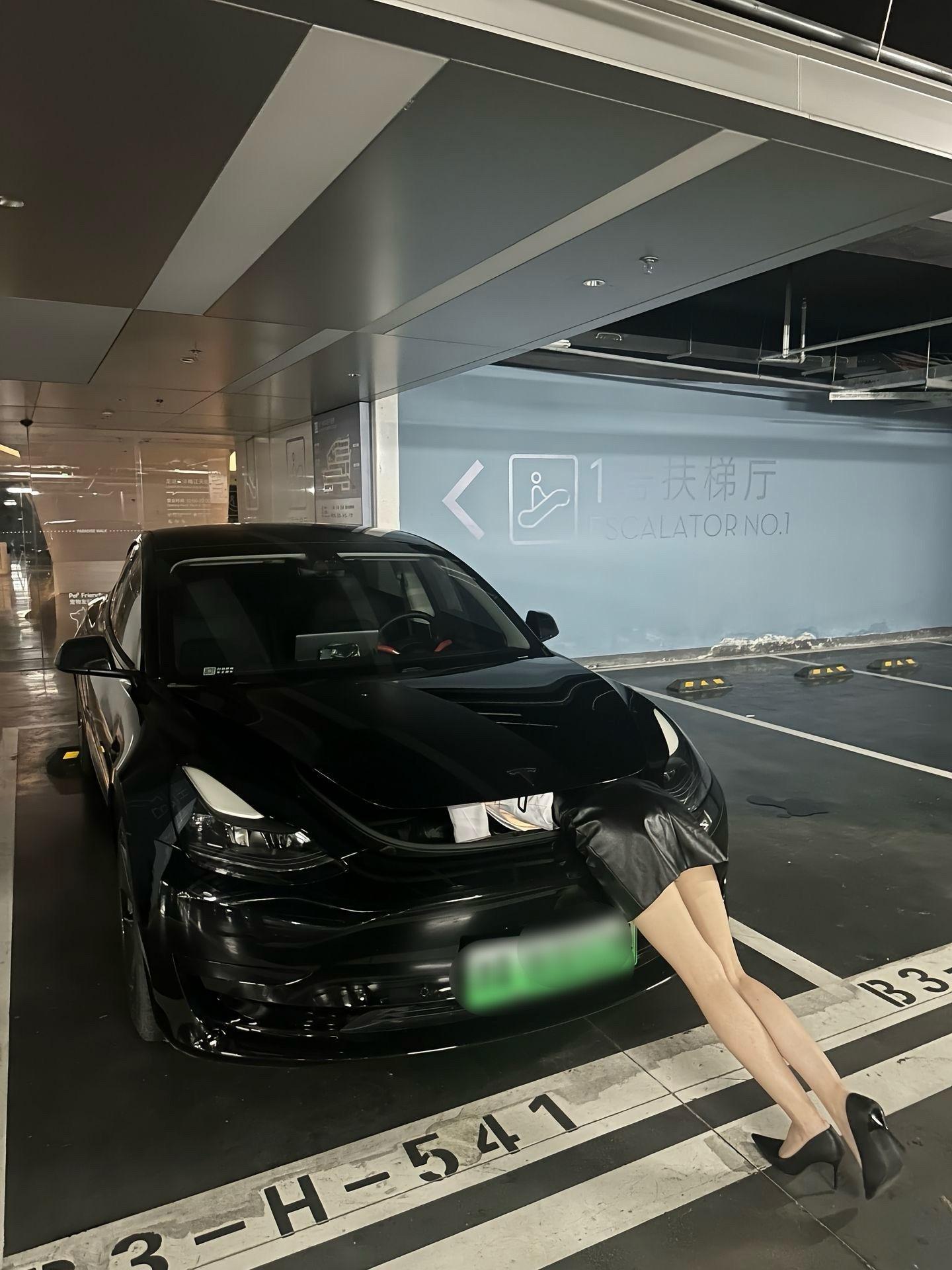 特斯拉小姐姐会玩​​​