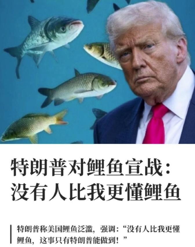 特朗普这人真是一刻都不消停。跟伊朗那边刚停火没两天，他又给自己找了一个全新的战场