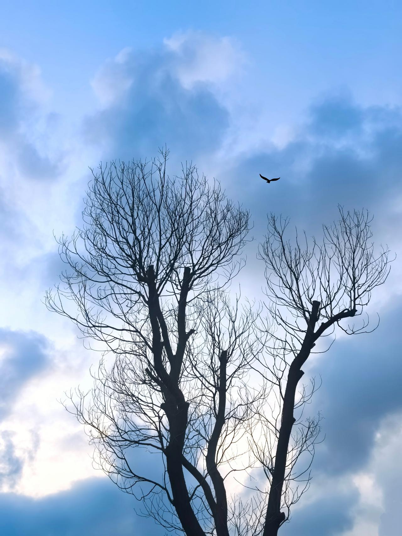 照顾老妈的阿姨又不干了，好言相劝还是留不住，加工资也没用，一大早收拾东西打包走路