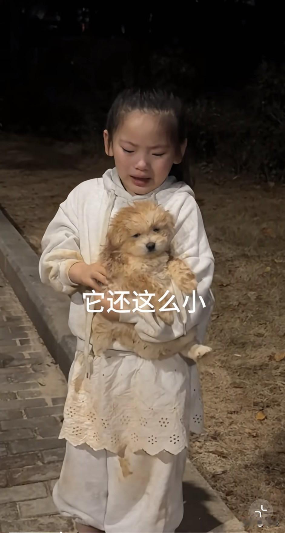 泪目了！“它还这么小！它的妈妈为什么要把它冷掉，它这么小！它肯定活不了！我要养它