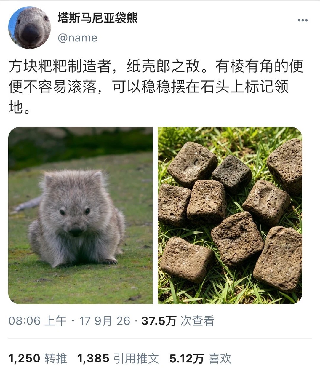 一则小动物的小众萌点​​​