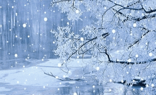 你那里下雪了吗? 看完这些让你整个冬天更讲究!