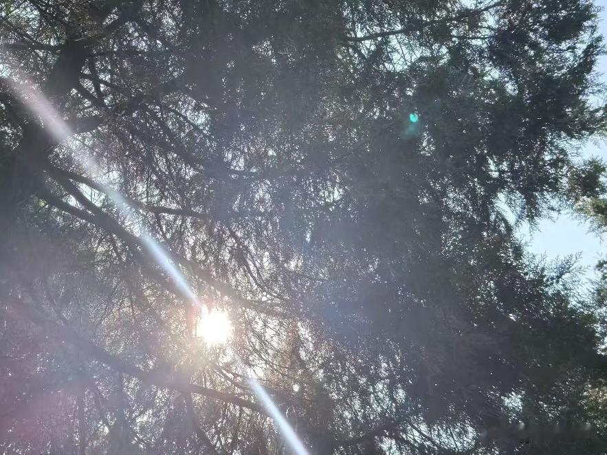 人过了60岁后，不管你的身体好不好，这5件事情不要再做了。一、掺和儿女家的事