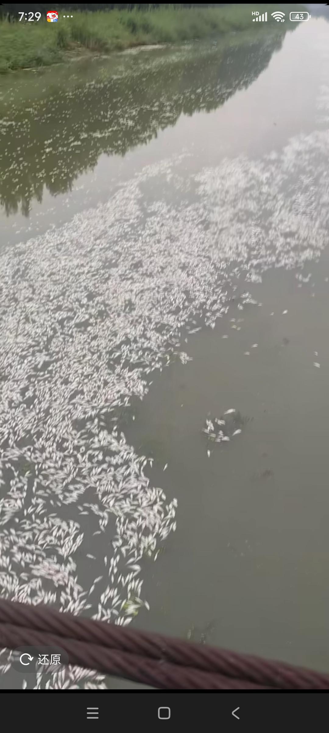 周边企业趁下雨排污了