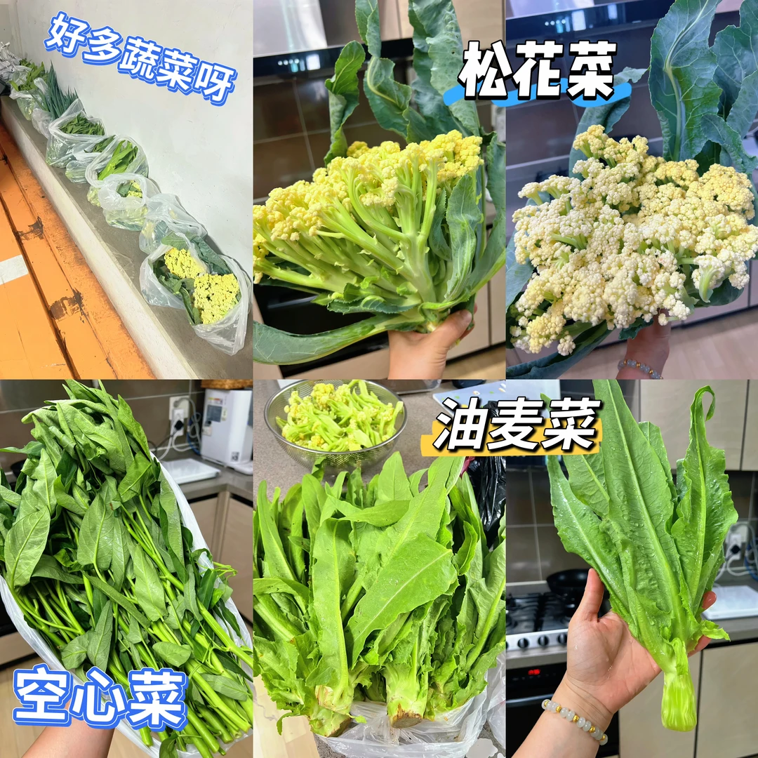 在韩国有种菜的朋友是多么的幸福～