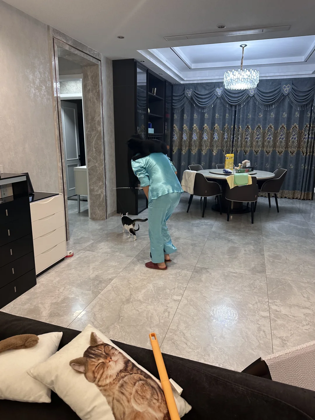 当年说最害怕猫的我妈