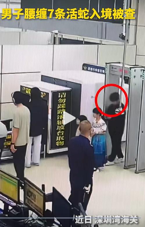 深圳西部某口岸，一名入境男子走路姿势僵硬怪异，引起查验人员注意。经检查发现，男子