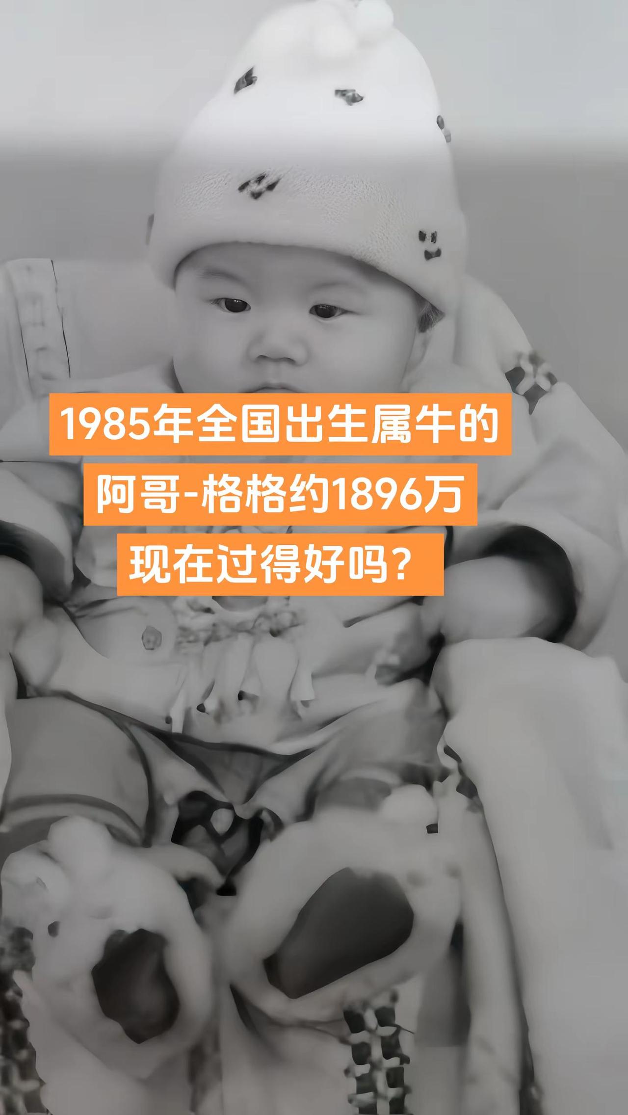 1985年出生属牛的阿哥-格格。85.11.05天蝎