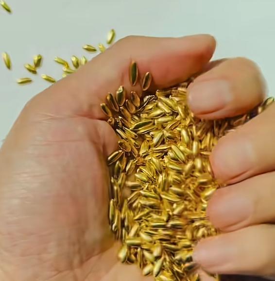还是吃的太饱了！北京，一艺术家用500克黄金做出了1000粒的黄金大米，混在5吨