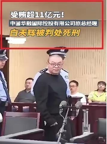 大快人心！受贿11亿的“巨贪”白天辉被执行死刑，十八大以来第三例！2025