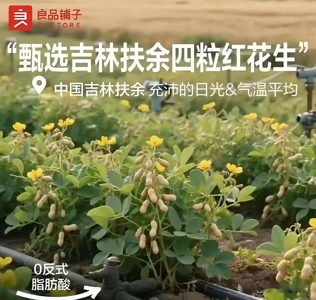 良品铺子你是疯了不成？欺负谁没见过花生结果是吗……