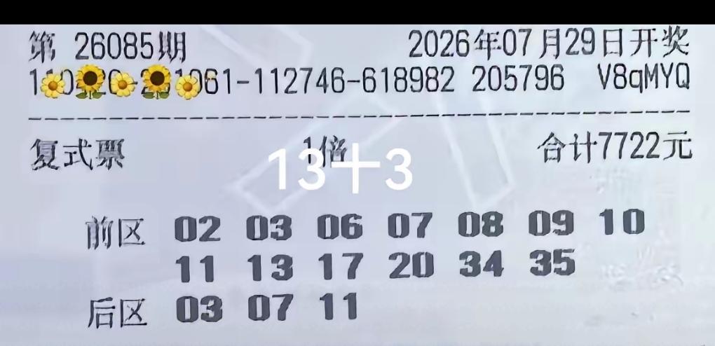 哈哈这张看着霸气十足啊，13+3的选项，号码也是大范围铺
