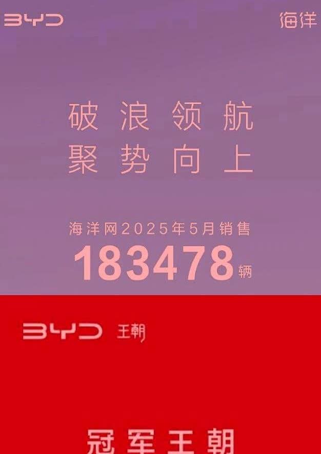 谣言已经不攻自破，比亚迪彻底失控！王传福的把160555销量和18347