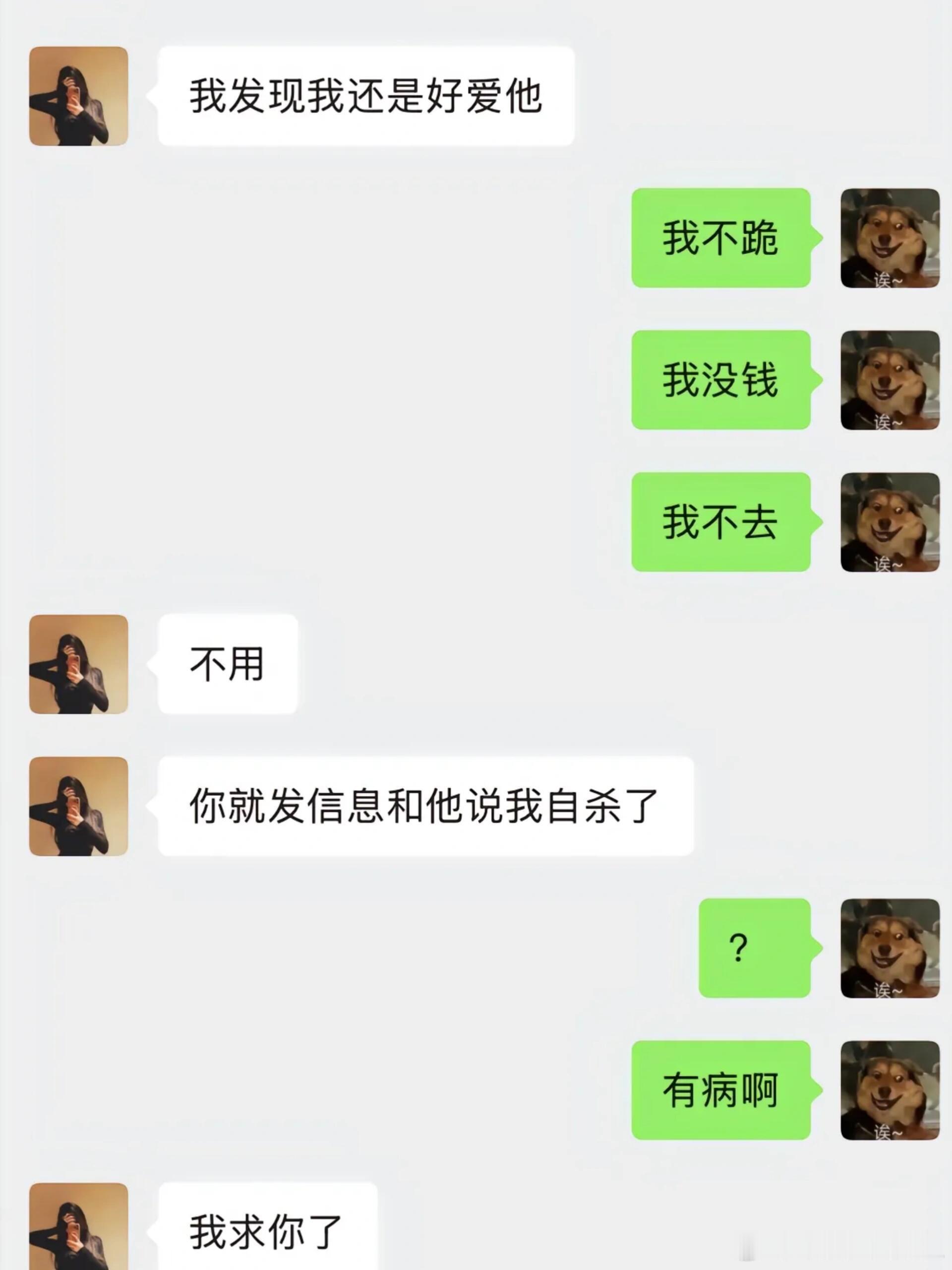 闺蜜谈恋爱的条件真的是没招了