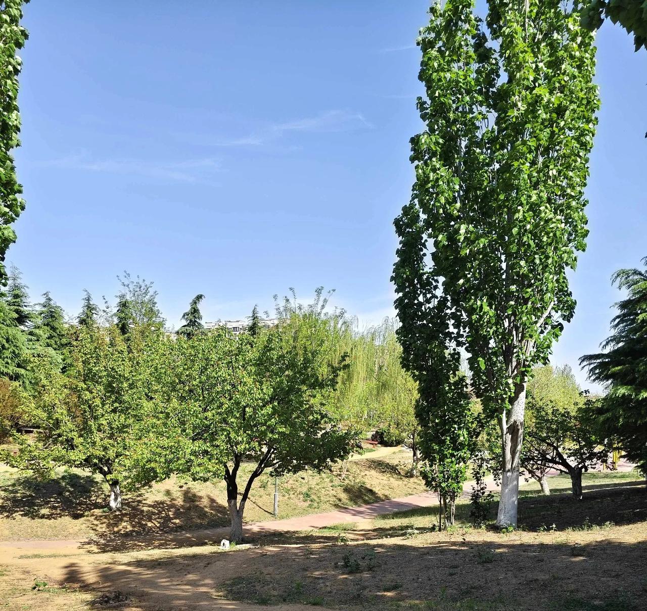 青岛市城阳区夏庄街道安乐社区西侧有一处东周古墓群，名为财贝沟墓群，山东省级文物保