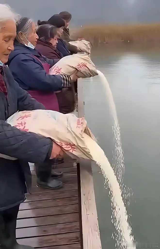 五谷丰登，大米遭罪！