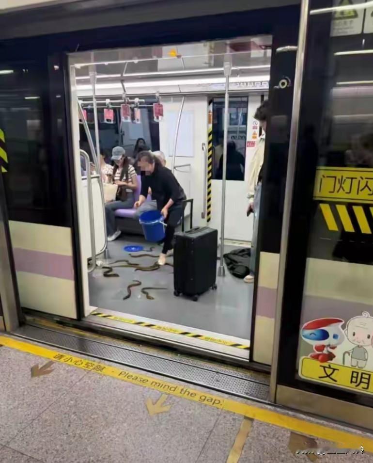“啊！救命！”世界第一贵的安检居然检不出活体？上海地铁惊现恐怖一幕，疑似蛇被带上