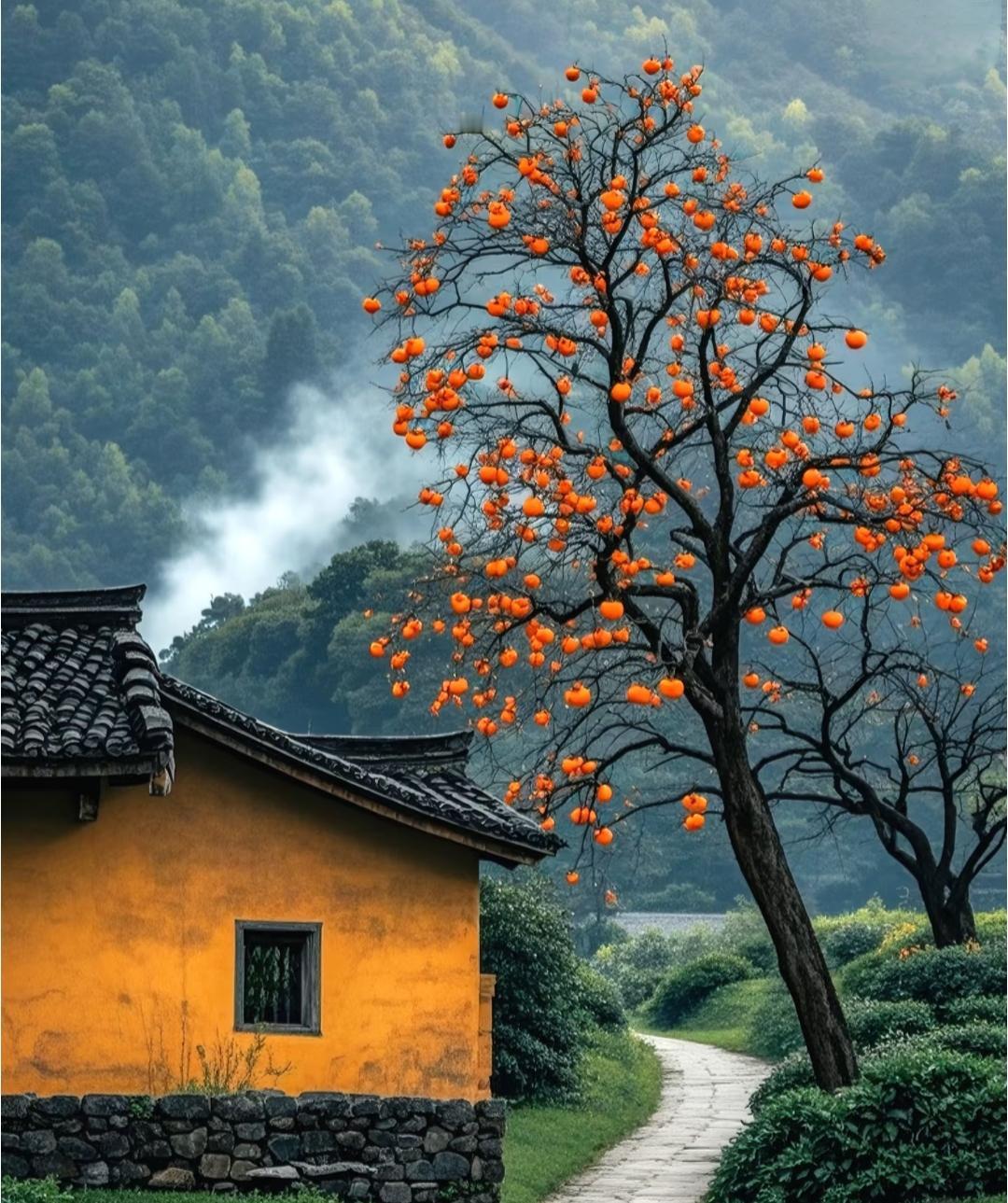 一句话让你醍醐灌顶：你省吃俭用的钱留给了孩子孩子又留给了自己的孩子孩子可