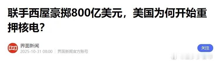 美国那边，突然砸了800亿美金，不是去搞芯片，不是去造飞机，而是去建核电站。你没
