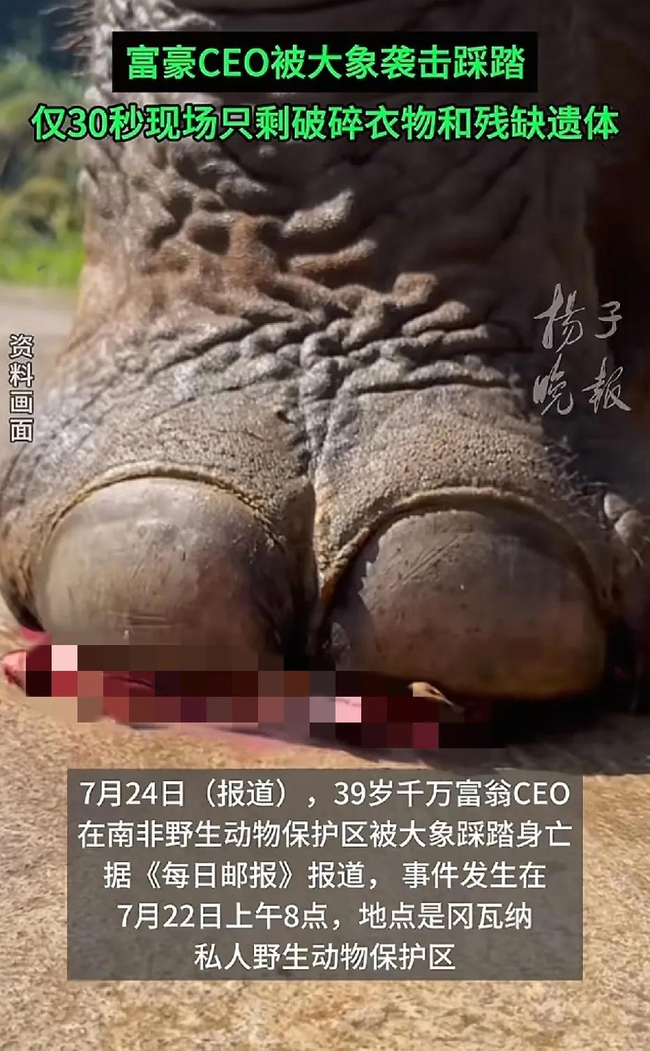 国外，39岁的千万富翁在南非私人野生动物园里，被野生大象踩踏而死，等工作人员驱赶