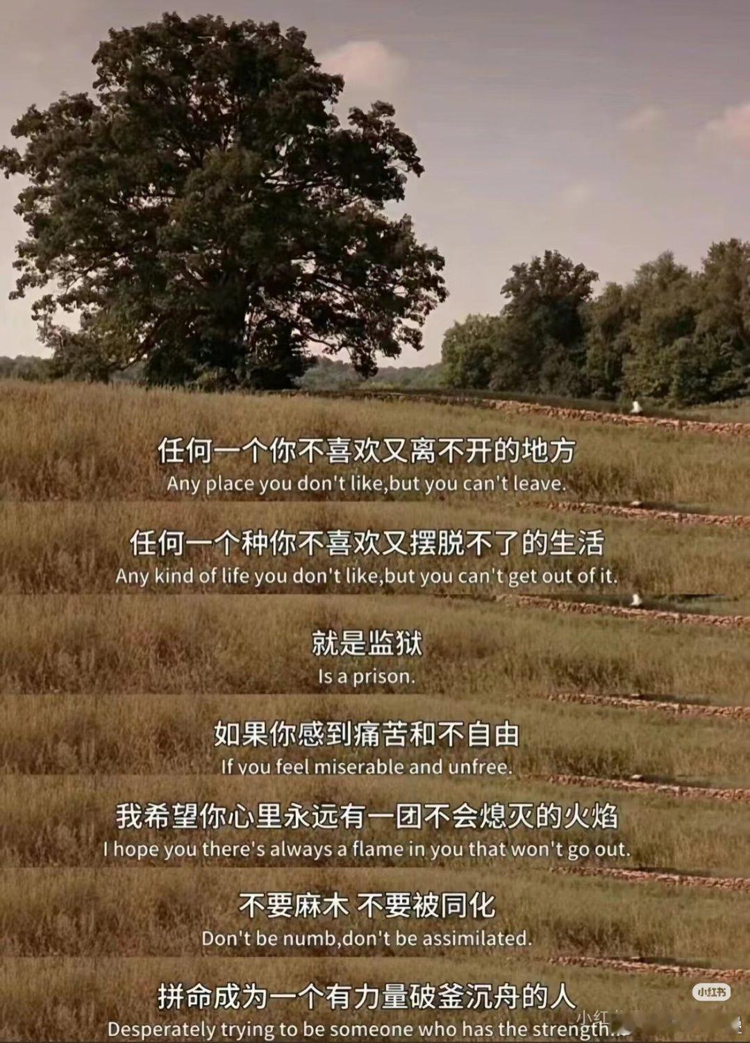 哎一般每次“网抑”后都会“发愤”但是又做不到“平庸人”就是这样吧[笑着哭]​​​