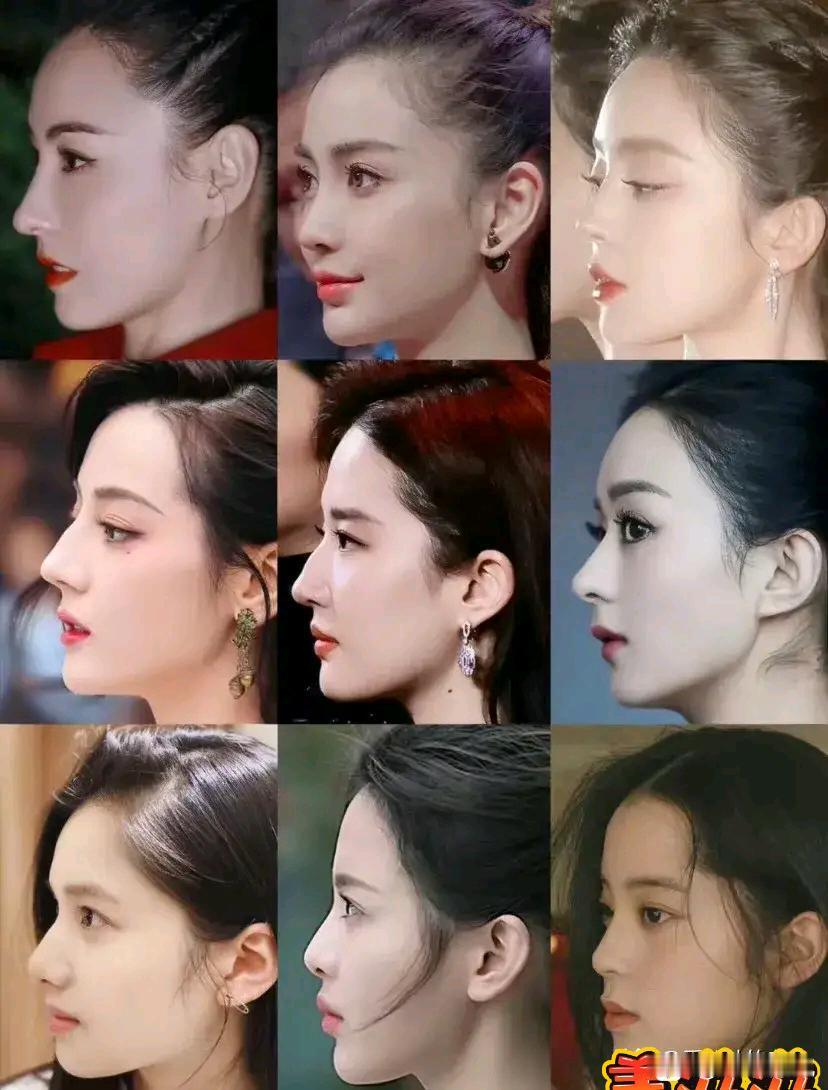 内娱女星侧脸大合集，一对比差距一目了然不同人的骨相优势完全不一样，有人鼻梁精致立
