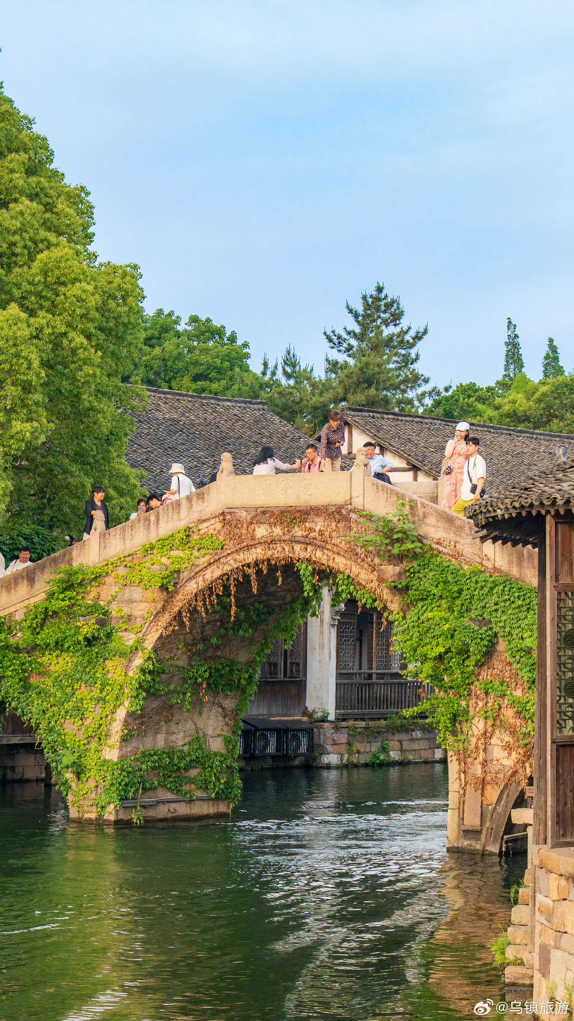 【这里是浙江】初夏的乌镇，暑气已在空气中悄然漫溢，艾草的清香正顺着廊棚的缝隙偷偷