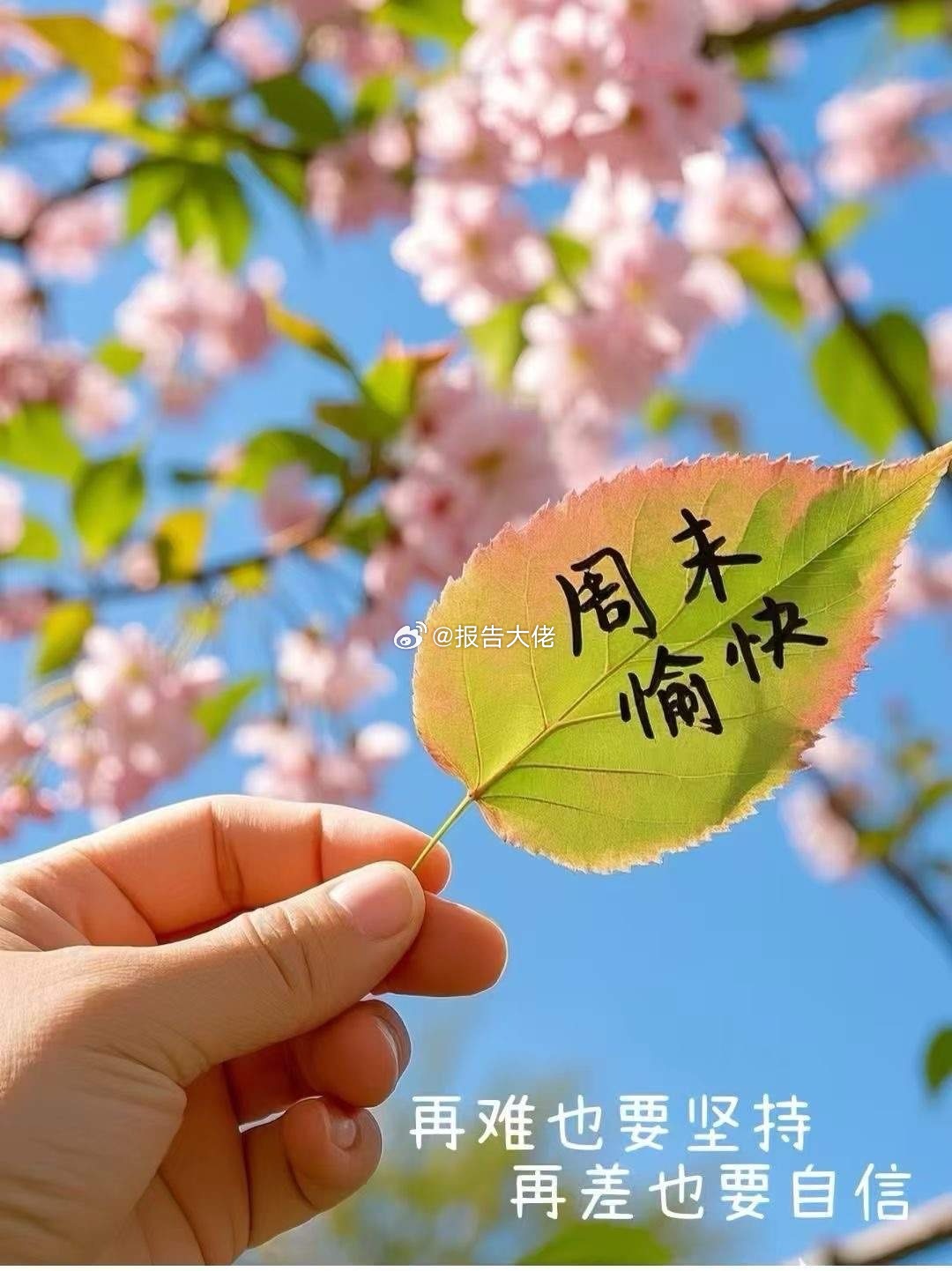 周末愉快有人说AI的尽头是算力，算力的尽头是电力，电力的尽头是储能，储能的尽头是