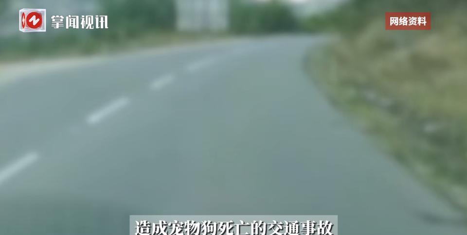 “离了个大谱！”2024年11月，海南万宁，一男子驾驶旅游观光车时，不慎撞倒了一