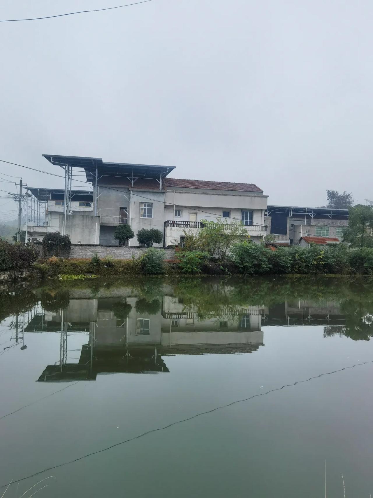 对联折意“推窗又见桃花雨，开门喜迎顺堂风”，这对联太有意境了。想象一下，推开