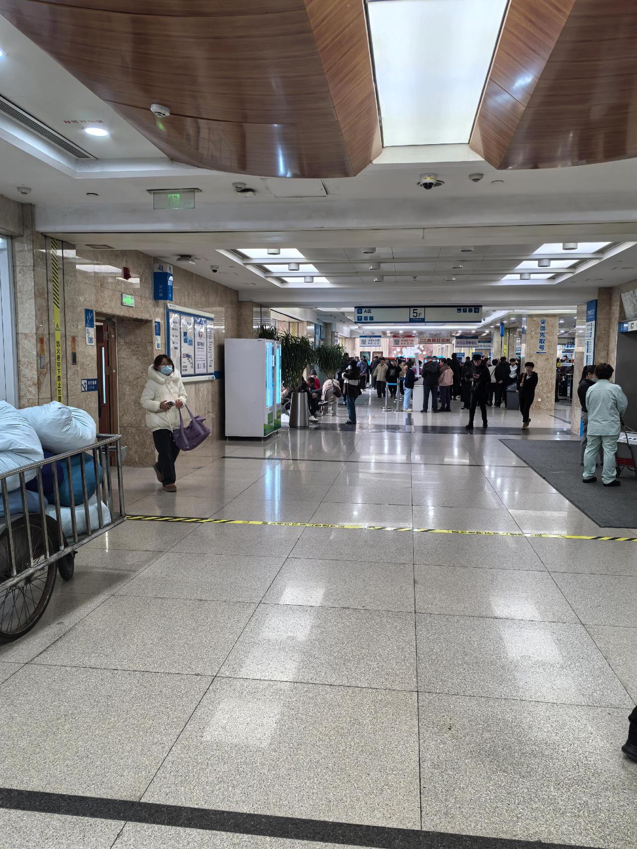 一个正在跟癌症死磕的病人，就因为化疗难受睡过了头，下午出门找口吃的，顺手救了三条