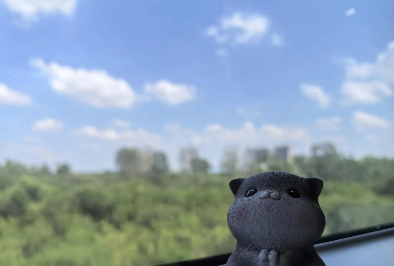 #分享城市新鲜事#又一次愉快的出游这一次我们的目的地是天津据说那里好吃好玩