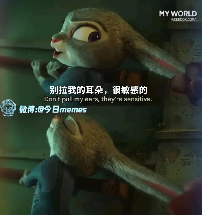 来劲了（9gag）今日meme今日memes​​​