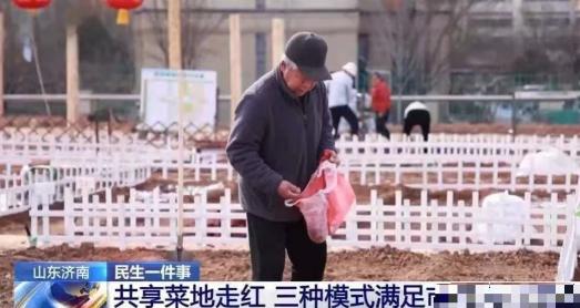 “人怎么能这么聪明！”山东，一男子家里有10亩地，种普通作物收益微薄，忙活了1年