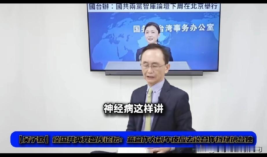 吴子嘉大骂国民党不想执政！说国民党去大陆谈观光旅游，产业合作，环境永续有什么用？