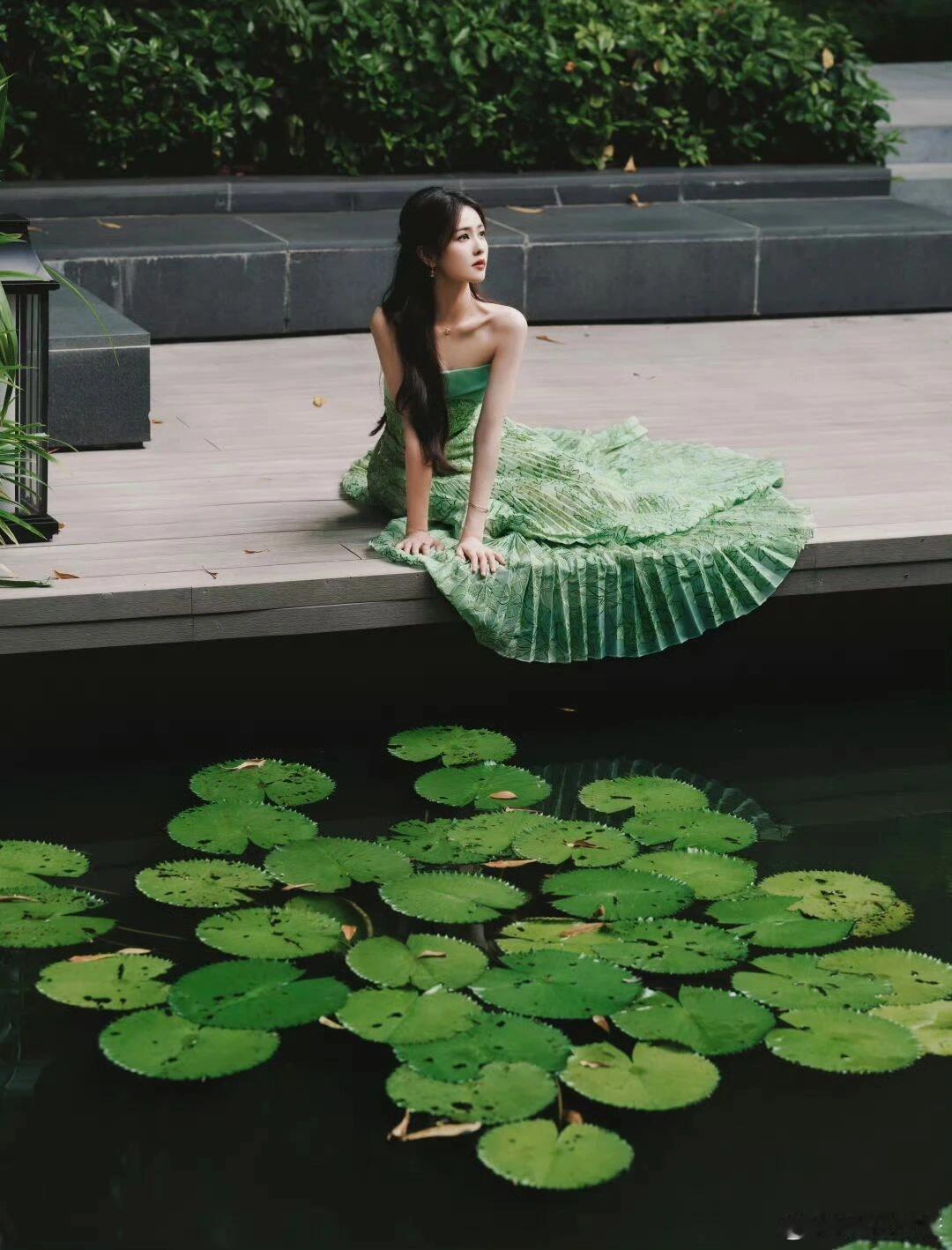 白鹿白鹿头像白鹿｜