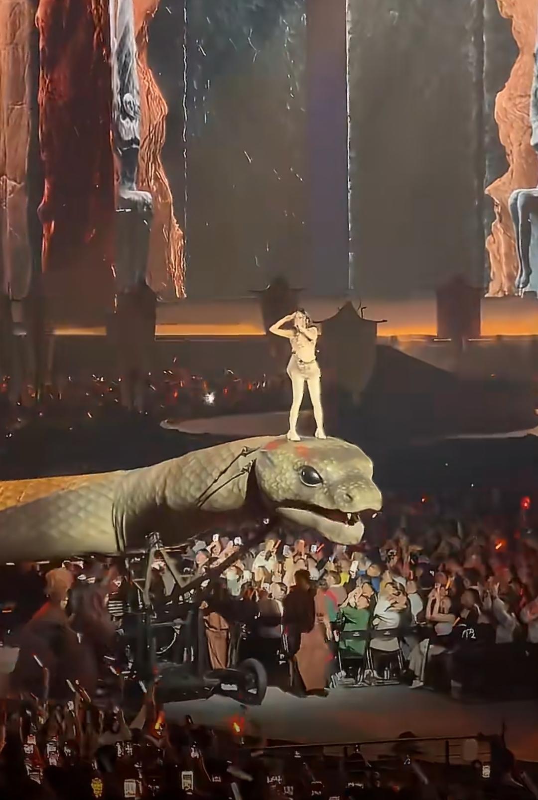 让大美女踩着一个那么大的巨蛇，绕着会场跑了一圈。而且那个道具蛇做的太逼真了，虽