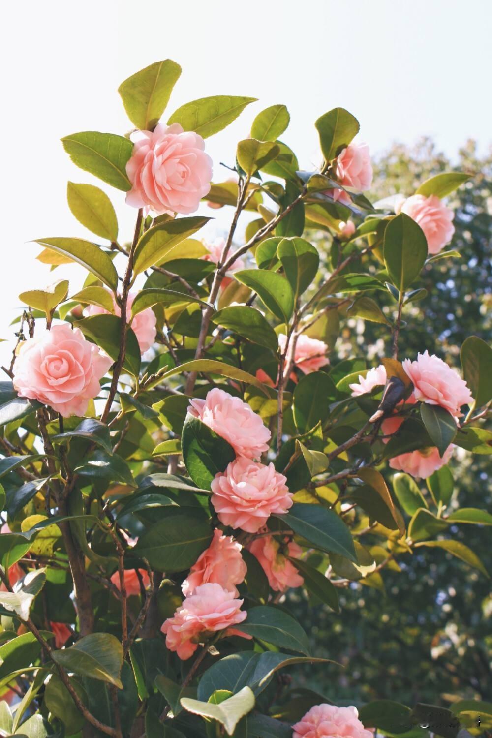 我妈和我婆婆是两个极端，我婆婆嘴甜，和谁说话都亲如一家，知道享受，算个精明人