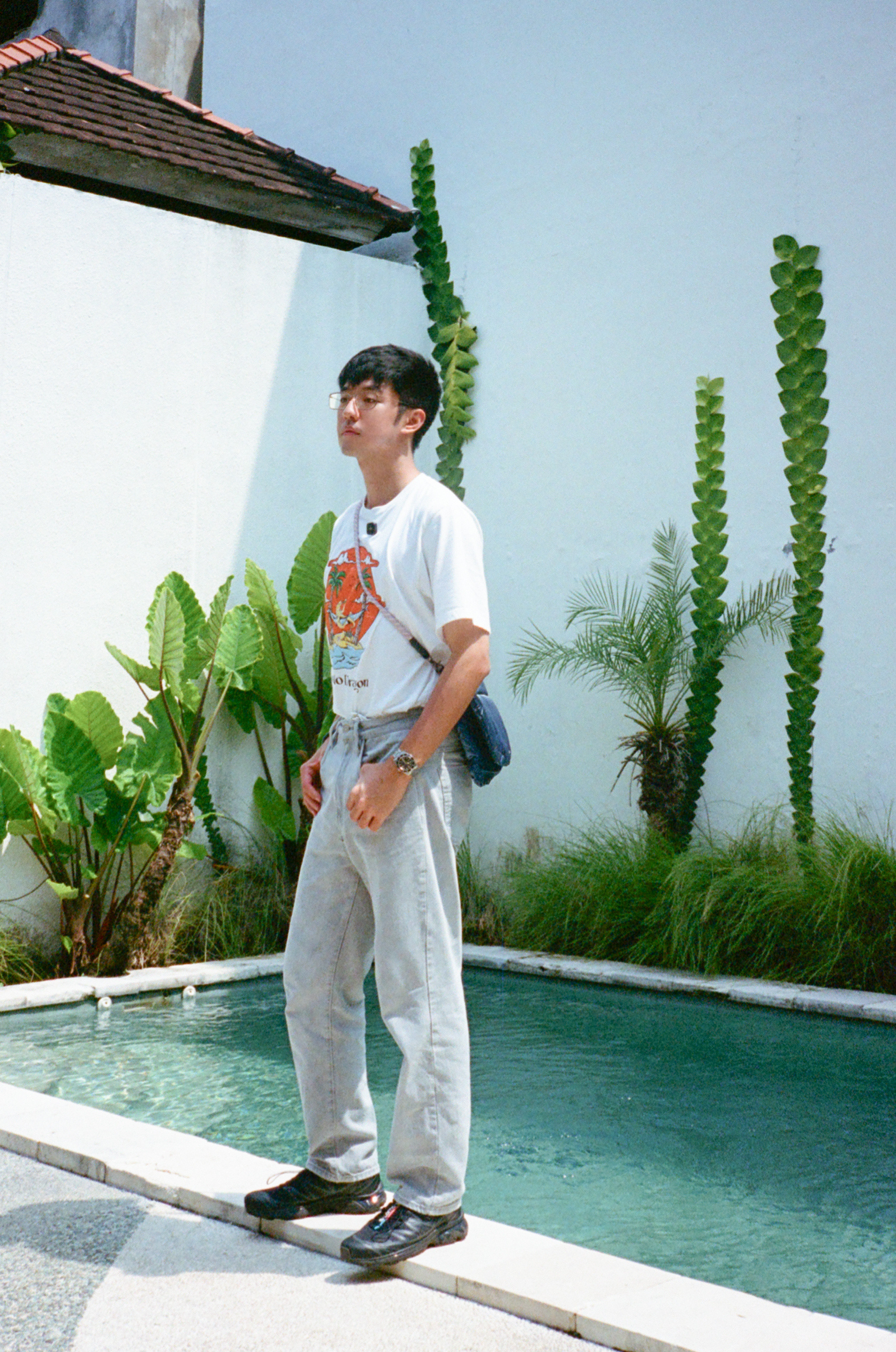 年底到了洗胶卷的时候。即将迎来一波创作更新。胶片摄影