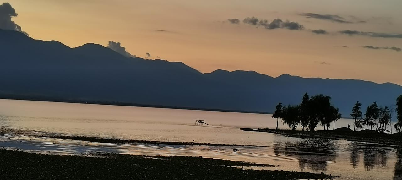 25129期双色球，参考信息★红球排除（10个）:03050911