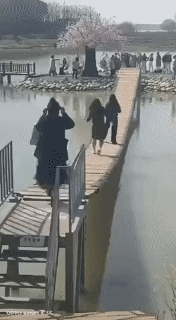 就这样的智商，下去了也一样会摔水里的。