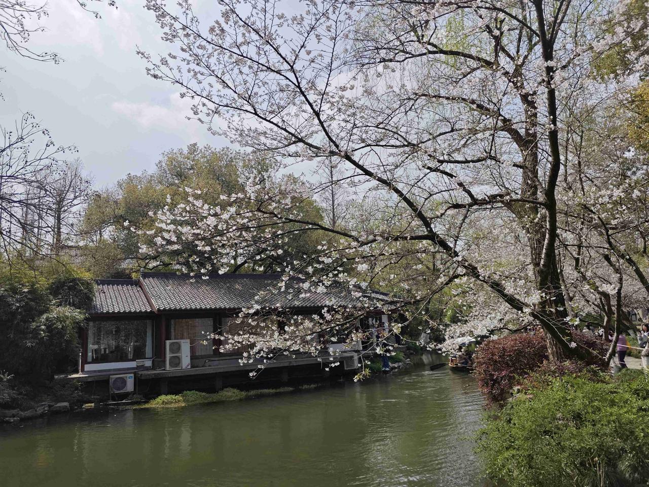 我的今日状态：😁轻松愉快我这里的天气：🌤️多云杭州的春天从钱王祠的腊梅