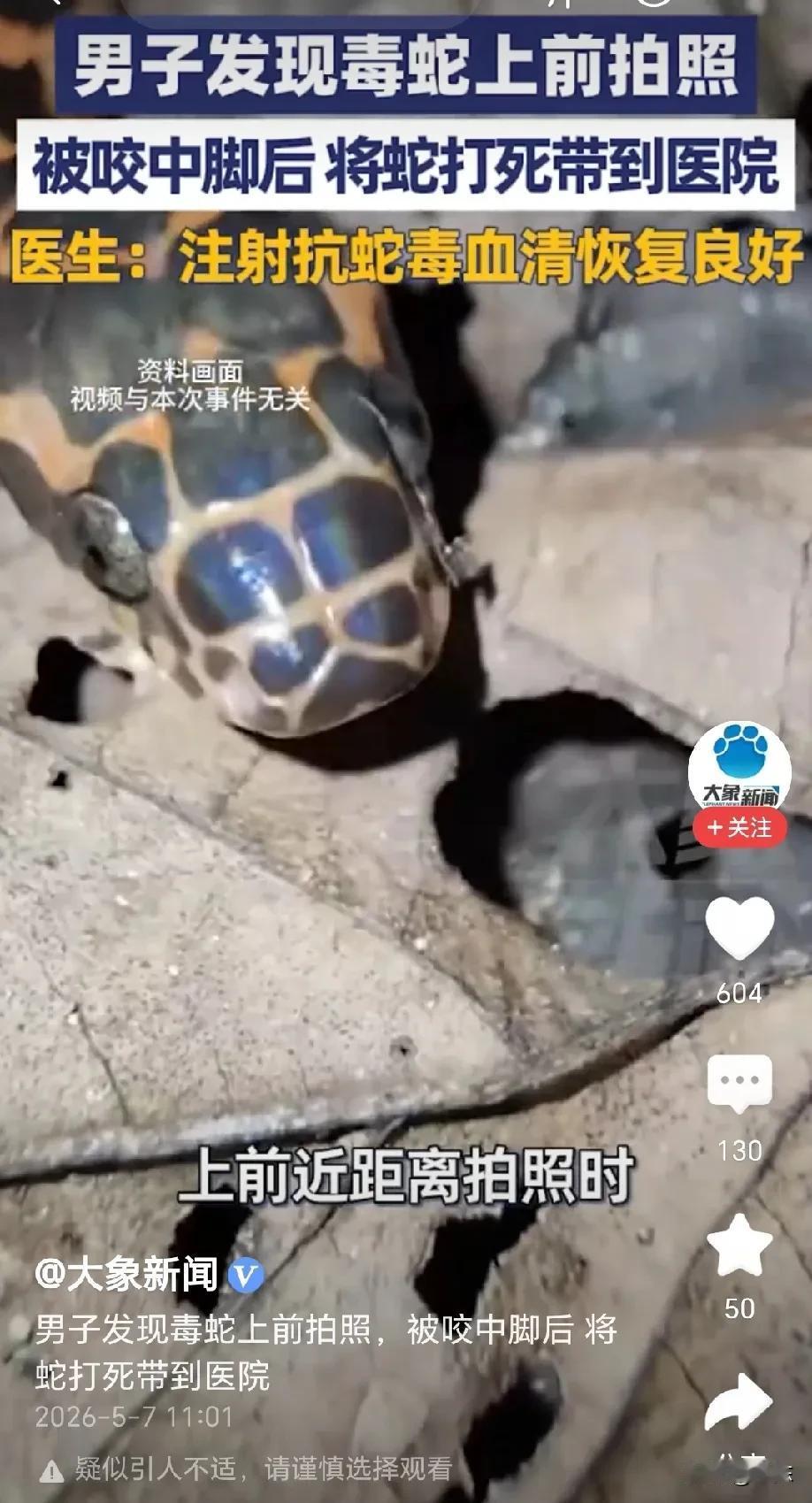 万万没想到！四川泸州，男子深夜回家时，意外发现两条花纹奇特的蛇，他不但没躲开，反