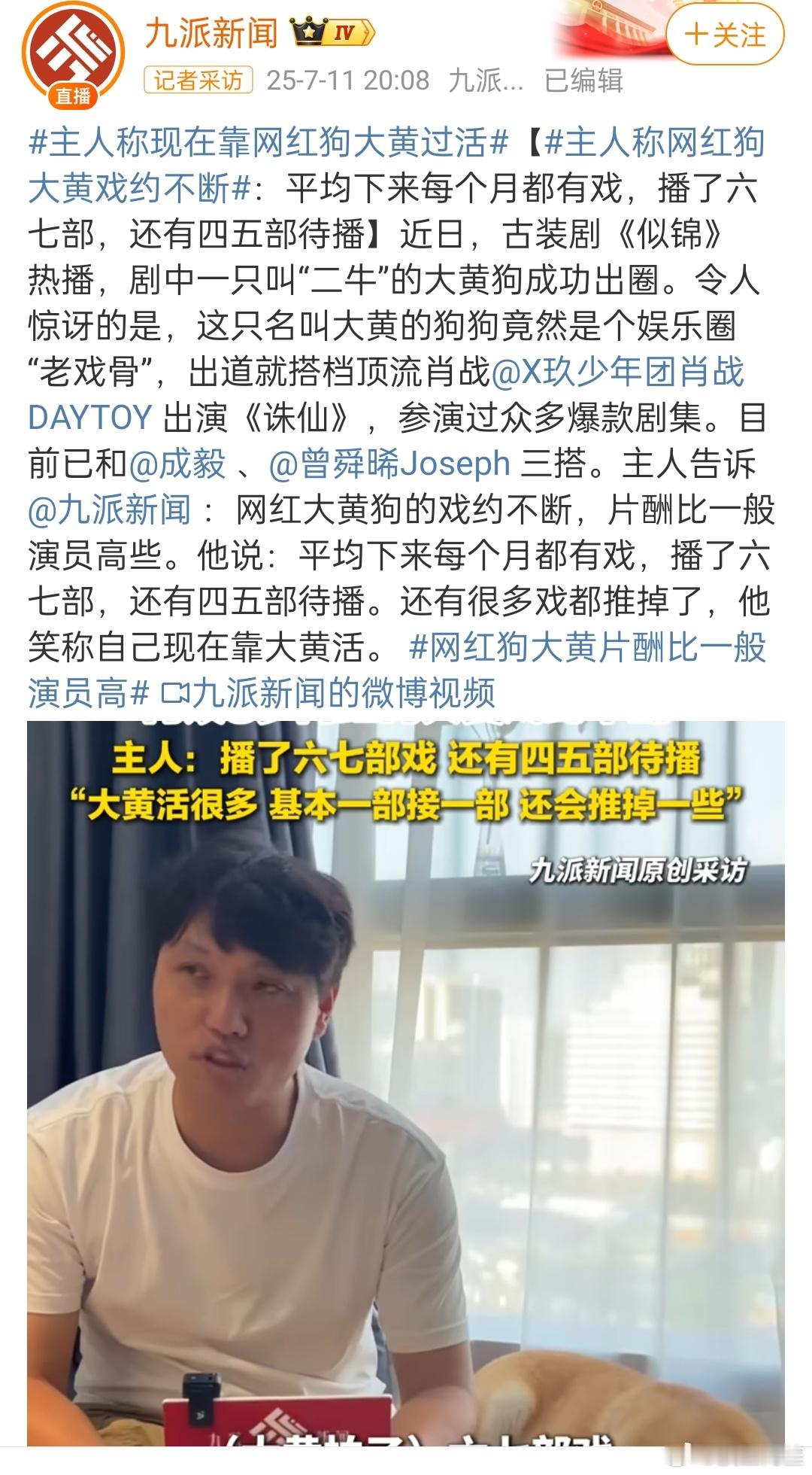 很搞笑的一点……照着人家的剧找配角就算了，连狗也要找同一条[笑着哭]​​​