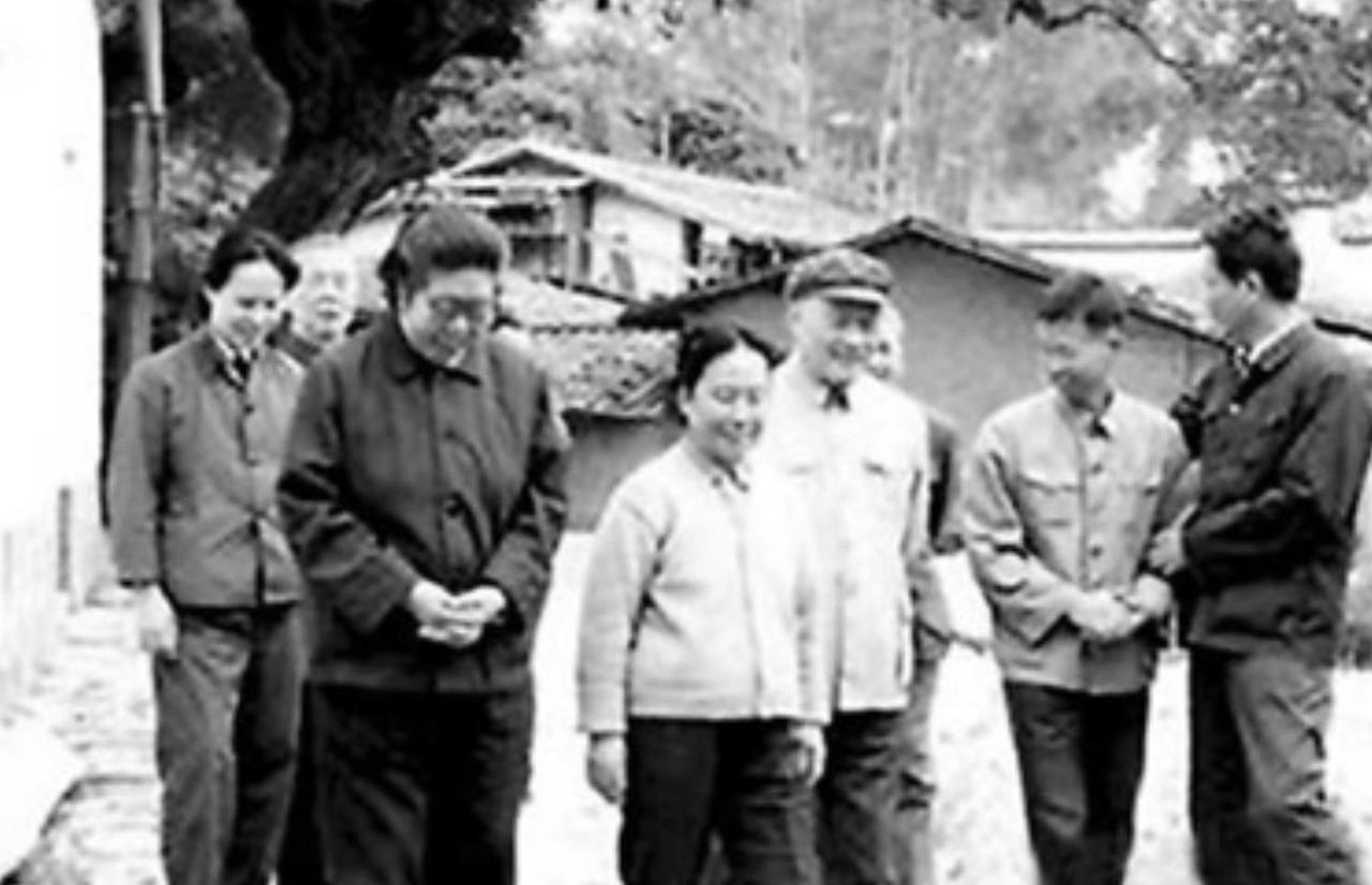 1985年，上级工作组来福建视察，突然接到举报：“项南搞pingfan，pin