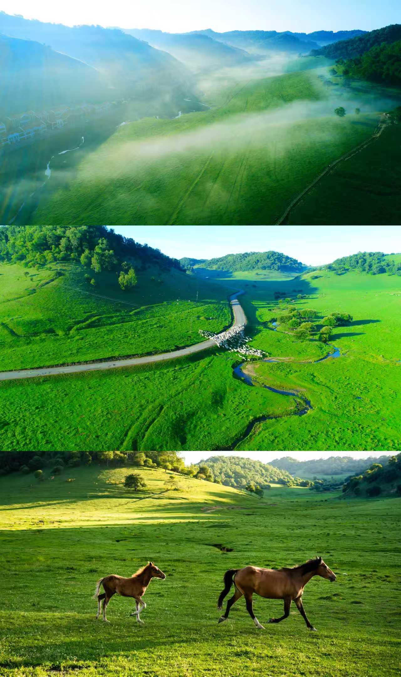 藏在关中腹地的宝藏之城宝鸡，将古韵古迹、草原峡谷、湿地山林尽数包揽，一步一景各有